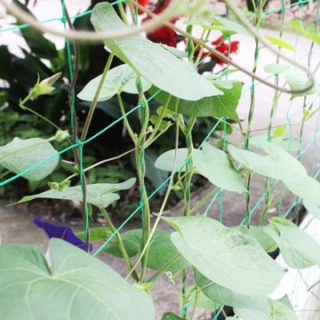 Опора с сеткой для огурцов и помидоров 150 см - Каркас для вьющихся растений