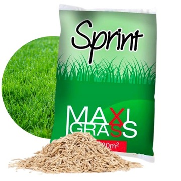TRAWA NASIONA UNIWERSALNA SZYBKO ZAGĘSZCZAJĄCA SPRINT TRAWNIK 2KG
