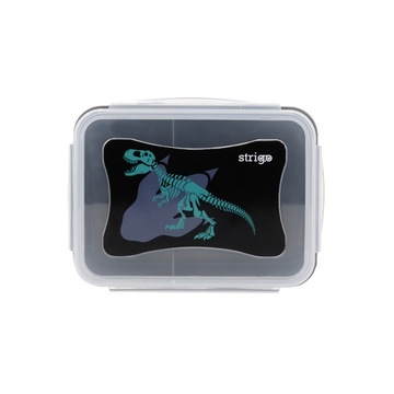 Śniadaniówka lunchbox pojemnik na jedzenie STRIGO kolekcja Dinozaur