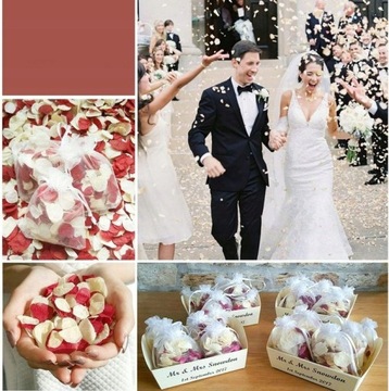 50 пакетов из органзы СВАДЬБА СВАДЕБНОЕ ПРИЧИНЕНИЕ белые подарочные пакеты 9х12см