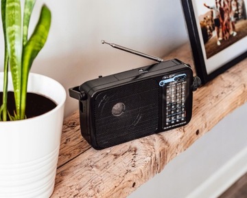 Радио BLOW RA5 FM Черный