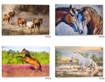 Картина на холсте 120х80 Картины на стену в гостиную Hala Gąsienicowa Tatra Mountains