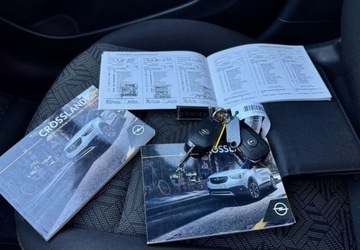 Opel 2019 Opel Crossland X Opel Crossland X 1.2 Design Line 1.2 Benzyna 81KM, zdjęcie 38