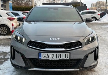 Kia XCeed 2025 Kia XCeed MY26 wersja TRIBUTE WINTER dostepny od reki w kolorze WOLF GREY, zdjęcie 7