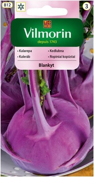 KALAREPA FIOLETOWA BLANKYT VILMORIN