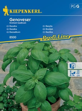 Bazylia Genoveser nasiona – Kiepenkerl