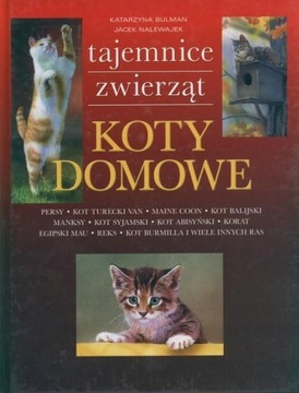 Koty domowe