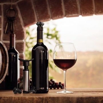 Deiss PRO Вакуумный насос для защиты вина