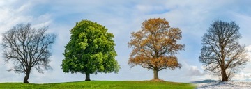 КРЫШКА ДЛЯ ГРИЛЯ КРЫШКА XXL ВОДОНЕПРОНИЦАЕМАЯ, ПРОЧНАЯ УНИВЕРСАЛЬНАЯ