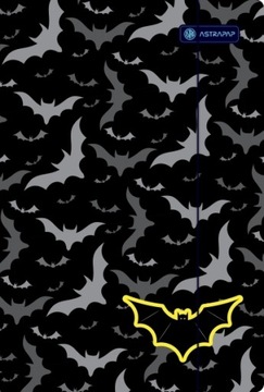 TECZKA Z GUMKĄ A4 ASTRAPAP BOYS STYLE