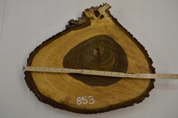 Срез древесины грецкого ореха 48x41Gr4,5 для смолы