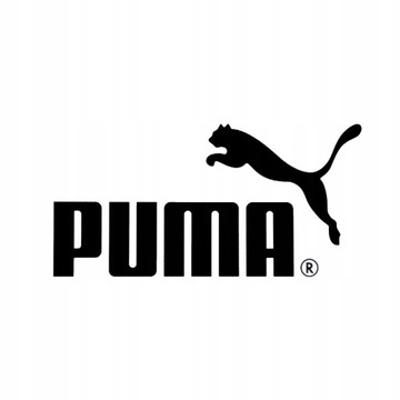 Skarpety Męskie PUMA Długie Skarpetki Bawełna Unisex 6-PAK