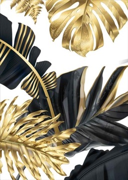 Monstera złota Plakat Plakaty B2 70x50cm Papier200
