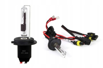 Amio H7 5903293014202 1 szt.