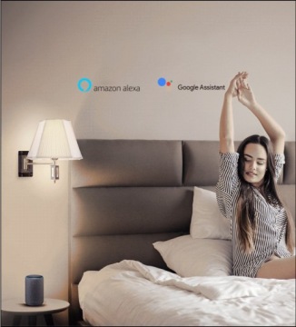 Gosund EP2 2500W 10A TUYA