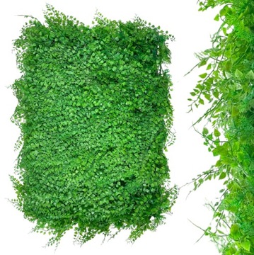 ZIELONA ŚCIANA PANEL ROŚLINNY NA ŚCIANĘ OGRÓD WERTYKALNY TUJA I FILODENDRON
