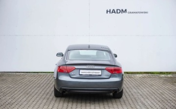 Audi A5 8T Coupe Facelifting 1.8 TFSI 170KM 2012 Audi A5 Sportback Audi A5 Sportback 1.8 TFSI 170KM 1.8 Benzyna 170KM, zdjęcie 6
