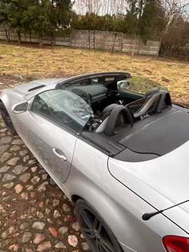 Mercedes SLK R171 2008 Mercedes SLK W171 cabrio, zdjęcie 2