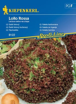 Kiepenkerl nasiona Sałata karbowana Lollo Rossa 8122