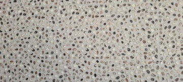 Виниловая плитка Michelangelo MS1 Designflooring