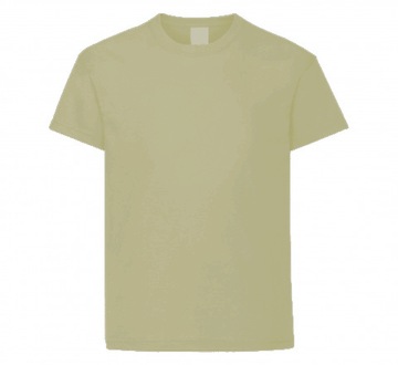 KOSZULKA DZIECIĘCA T SHIRT BLUZKA BAWEŁNA BEŻ 122