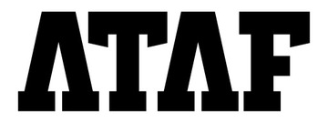 Баскетбольные кроссовки Nike LeBron XVII Tune Squad 41