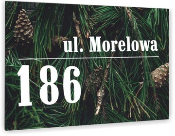 Tabliczka ADRESOWA ALUMINIOWA Tablica NUMER DOMU