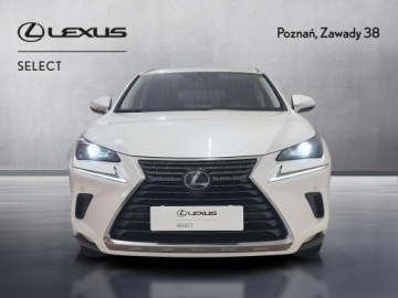Lexus NX I SUV Facelifting 300h 197KM 2019 Lexus NX 300h Business Edition AWD I (2014-2021) L, zdjęcie 5