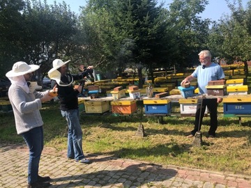 Matki pszczele 2025 - dostępne od ręki- GP Sowa nieunasienione