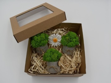 Подарочный набор «Крабовый лес»