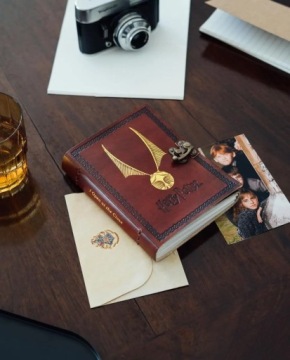 Кожаный блокнот Harry Potter Golden Snitch Notebook 100 пустых карточек 13х18 см