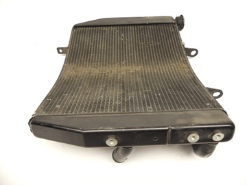 CHŁODNICA RADIATOR TRIUMPH STREET TRIPLE 765 17+ CH0