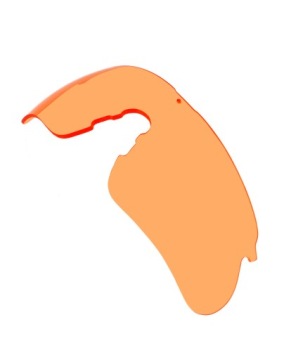 Очки для баллистической стрельбы SwissEye Raptor