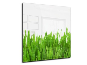 panel szklany między meble dekor 50x55 trawa