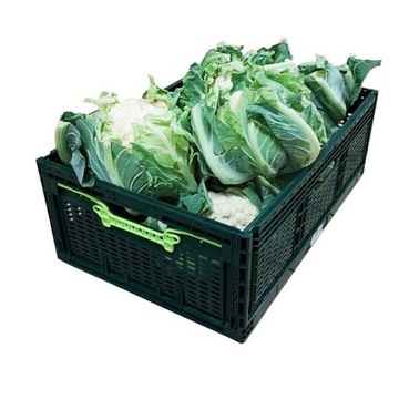 Корзина, складной ящик 46л Темно-зеленый