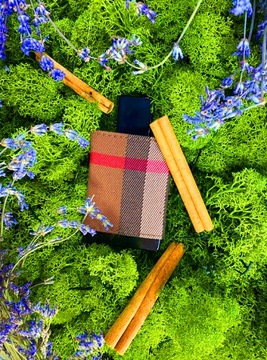 BURBERRY LONDON FOR MEN БУТЫЛКА EDT 100 МЛ + КРЫШКА