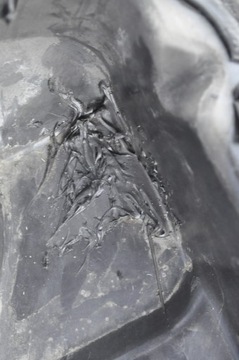 SCENIC III WANNA KOŁA ZAPASOWEGO 8200890248