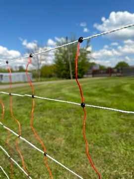 Siatka elektry dla owiec, 50m, 90 cm, poj. szpic