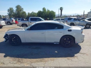 Dodge Charger VII 2021 Dodge Charger Scat Pack 2021 6.4 Benzyna 485KM, zdjęcie 2