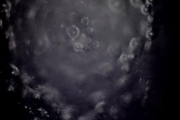 Кондиционер для воды IPS Kalyxx Active G 1