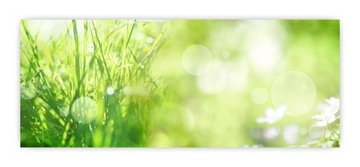 Panel hartowany lacobel grafika 150x60 cm PAN