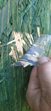 СУПЕРПРОЧНАЯ ЛЕНТА ДЛЯ РЕМОНТА ГЛАЗ БАССЕЙНОВ И ТУННЕЛЕЙ