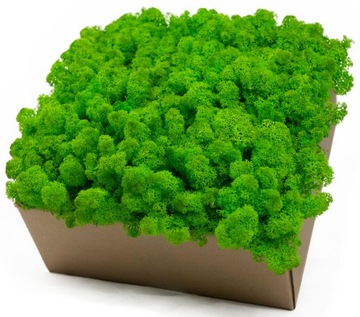 Олений мох ПРЕМИУМ BIG HEADS BEST