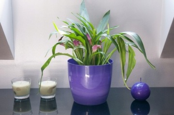 КРЫШКА ДЛЯ ЦВЕТОЧНОГО ГАЗВА ЦВЕТОЧНЫЙ ГОРШОК 16см ДЛЯ ЦВЕТОВ ФИОЛЕТОВЫЙ МРАМОРНЫЙ ПОДСТАВКА ДЛЯ ЦВЕТОВ ДЛЯ ГОСТИНОЙ