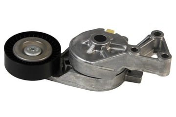 Рычаг натяжителя INA 534 0132 30