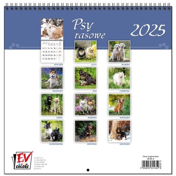 Календарь 2025 стена Большая 30 х 60 см 13 плат