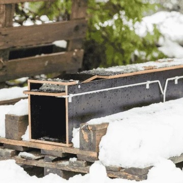 Profesjonalna żywołapka na kuny EcoTraps – PT119