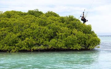 Кайтборд DTK 2024 Duotone Select 144x42см