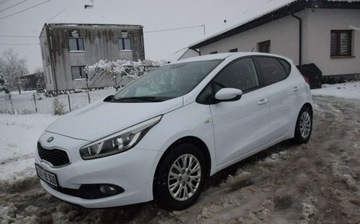 Kia Ceed II Hatchback 5d Facelifting 1.4 DOHC 100KM 2015 Kia Ceed 1.4B 2015r Kamera 2 Kpl Kol Grzane Fotele i Kierownica Sprowadzony, zdjęcie 4