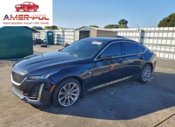 Cadillac 2021 Cadillac CT5 Luxury 2021 2.0 Benzyna 237KM